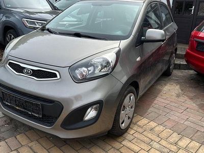 Usata Kia Picanto Edition 7 69 CV (50 kW) 2011 Argento Utilitaria