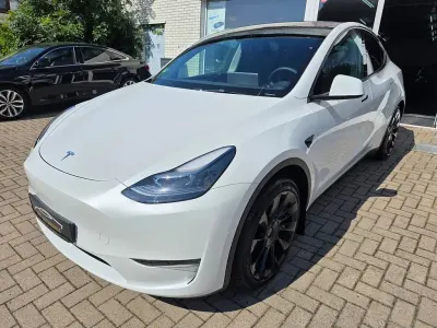 Gebraucht Tesla Model Y RWD 219 kW (299 PS) 2023 Weiß SUV