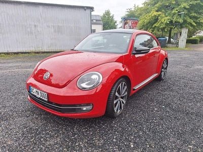 VW Beetle