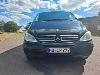 Mercedes Viano