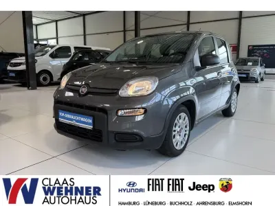 Gebraucht Fiat Panda 69 PS (50 kW) 2023 Grau Kleinwagen