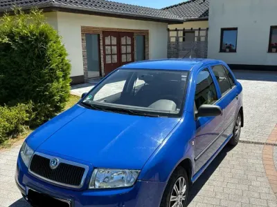 Brugt Skoda Fabia