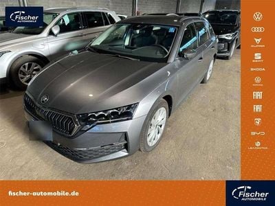 Grau Gebraucht 2024 Skoda Octavia Selection Kombi | 27.480 € (Superpreis)
