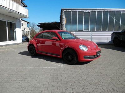 VW Beetle