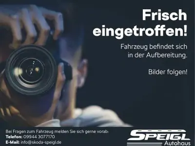 Neu Skoda Fabia Drive 116 PS (85 kW) 2025 Grau Kleinwagen