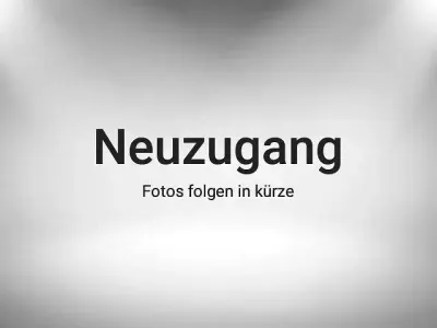 Gebraucht Mercedes C220 194 PS (142 kW) 2019 Blau Kombi