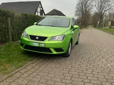 Gebraucht Seat Ibiza Reference 69 PS (50 kW) 2012 Grün Kleinwagen
