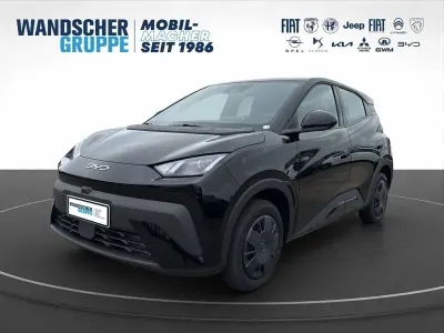Neu BYD Dolphin Surf Active 64 kW (88 PS) 2025 Weißandere Kleinwagen