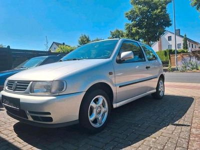 VW Polo