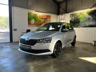 Gebraucht Skoda Fabia Cool Plus 75 PS (55 kW) 2019 Silber Kleinwagen