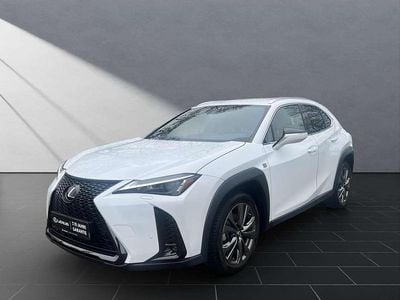 Gebraucht Lexus UX 250h F Sport 184 PS (135 kW) 2024 Weiß SUV