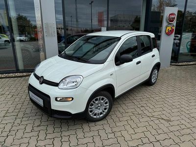 Weiß Gebraucht 2024 Fiat Panda Limousine | 15.450 € (Etwas zu teuer)