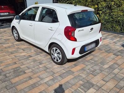 Usata Kia Picanto Attract 67 CV (49 kW) 2019 Bianco Utilitaria