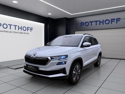 Usata Skoda Karoq Ambition 116 CV (85 kW) 2023 Bianco SUV
