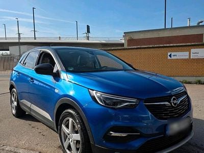 Gebraucht Opel Grandland X 131 PS (96 kW) 2020 Blau SUV