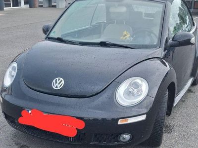 VW Beetle