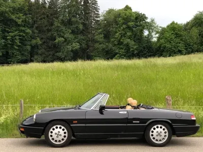 Gebraucht Alfa Romeo Spider 120 PS (88 kW) 1990 Schwarz Cabrio