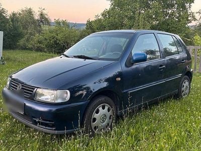 VW Polo