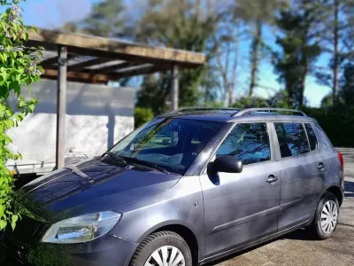 Begagnad Skoda Fabia Colour Edition 86 HK (63 kW) 2012 Grå Sedan