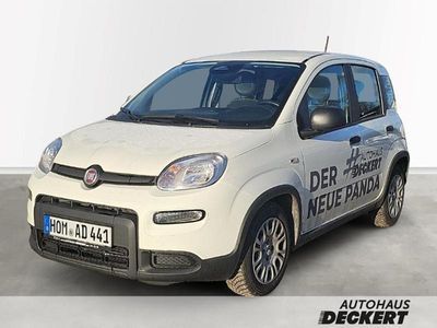 Gebraucht Fiat Panda 69 PS (50 kW) 2024 Weiß Kleinwagen