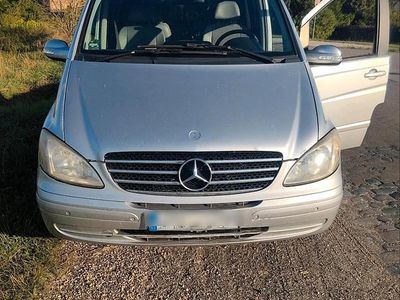 Mercedes Viano