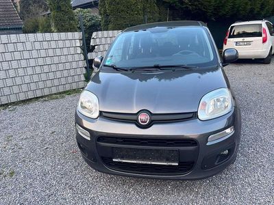 Gebraucht Fiat Panda Lounge 69 PS (50 kW) 2019 Vr446/c(grigio metallizzato)) Kleinwagen