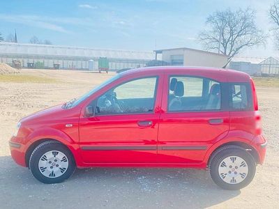 Gebraucht Fiat Panda 60 PS (44 kW) 2009 Rot Kleinwagen
