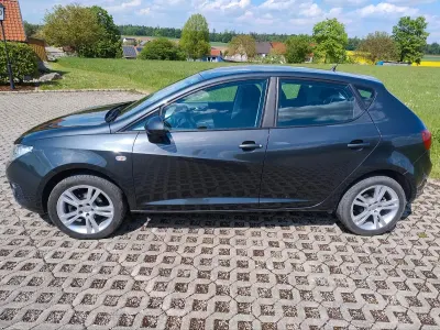Gebraucht Seat Ibiza Sport 86 PS (63 kW) 2010 Grau Kleinwagen