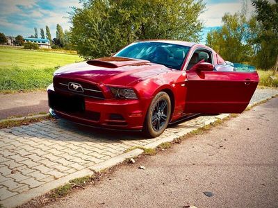 gebraucht Ford Mustang (USA)