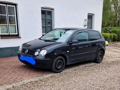 gebraucht VW Polo 9N1 Bj 2003