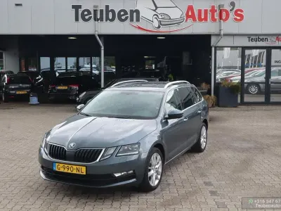 Gebraucht Skoda Octavia Business Line 116 PS (85 kW) 2019 Grau Kombi