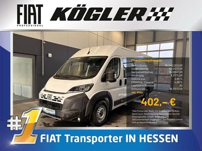 Neu Fiat Ducato 179 PS (131 kW) 2026 Weiß Van
