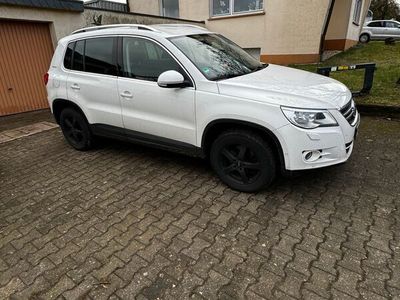 gebraucht VW Tiguan Team