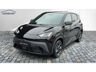 Gebraucht BYD Dolphin Surf