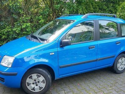 gebraucht Fiat Panda Dynamik 1.2 8V, Bossa Nova Blau