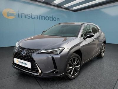 Gebraucht Lexus UX 184 PS (135 kW) 2021 Grau SUV