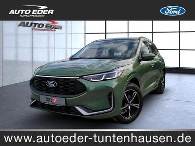 Usata Ford Kuga ST-Line X 190 CV (139 kW) 2024 Verde SUV