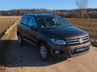 Braun Gebraucht 2014 VW Tiguan Cup SUV | 13.600 € (Fairer Preis)