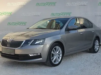 Gebraucht Skoda Octavia 116 PS (85 kW) 2019 Beige Limousine