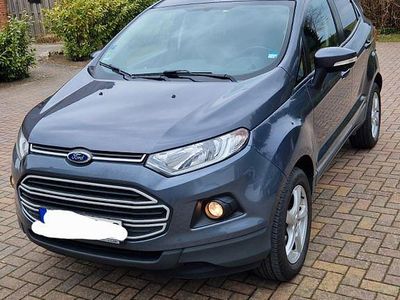 Gebraucht Ford Ecosport Trend 125 PS (91 kW) 2016 Grau SUV