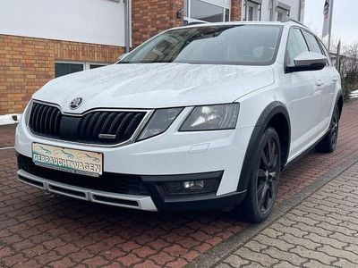 Gebraucht Skoda Octavia Scout 4x4 150 PS (110 kW) 2019 Weiß Kombi