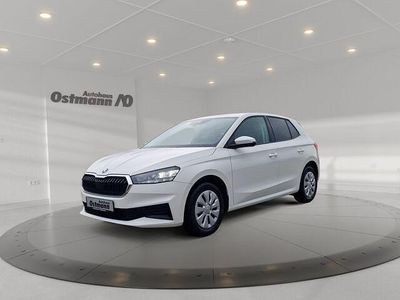 Gebraucht Skoda Fabia Active 65 PS (47 kW) 2022 Weiß Kleinwagen