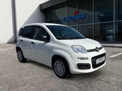 Neu Fiat Panda Icon 65 PS (47 kW) 2026 Weiß Kleinwagen