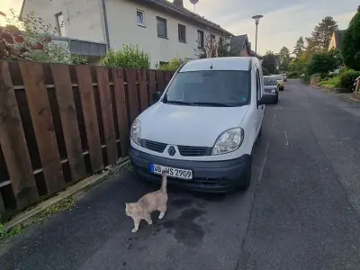 Gebraucht Renault Kangoo