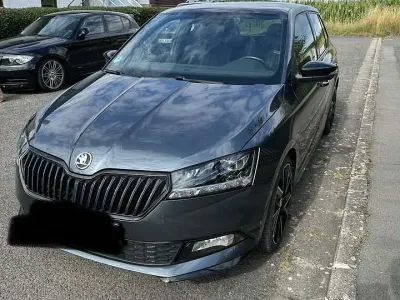 Gebraucht Skoda Fabia Monte Carlo 110 PS (80 kW) 2020 Grau Kleinwagen