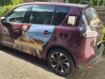 Gebraucht Renault Scénic III