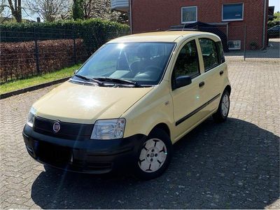 Gebraucht Fiat Panda 54 PS (39 kW) 2009 Gelb Kleinwagen