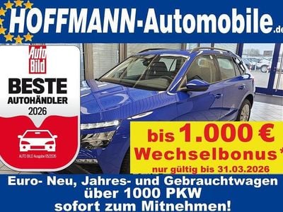 Gebraucht Skoda Kamiq 116 PS (85 kW) 2024 Blau SUV