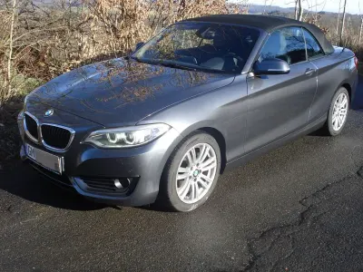 Gebraucht BMW 220 Advantage 190 PS (139 kW) 2015 Grau Cabrio