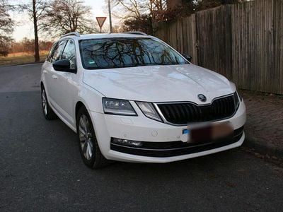 Gebraucht Skoda Octavia 150 PS (110 kW) 2019 Weiß Kombi